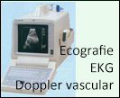 Ecografie